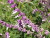 P1010647.JPG
